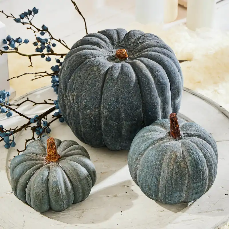Dynia, zestaw 3 szt. Pumpkin Premium